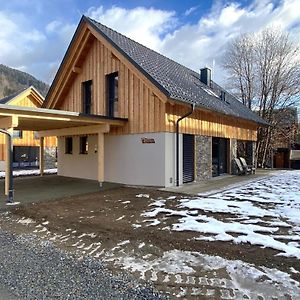 Mountain Chalet Arnica Villa Sankt Lorenzen ob Murau Exterior photo