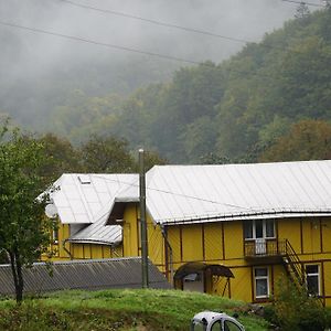 Дім З Видом На Гори. Hotell Vizhenka Exterior photo