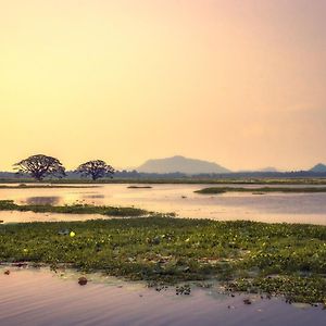 Water Bird'S Resort & Yala Safari Tissamaharama Exterior photo