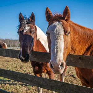 Rusmar Farm Equine Country Living 'N Powhatan, Va Villa Exterior photo