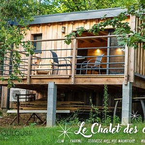 Bnb Toulouse - Le Chalet Des Coteaux - Cadre Magnifique - Wifi - Parking Leilighet Castelginest Exterior photo