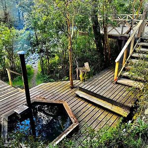 Casa En Rio Puelo, Cochamo Villa Puelo River Exterior photo