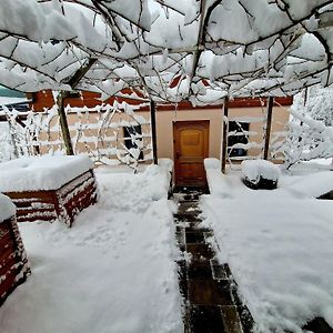 Vineyard Cottage Matej Trebnje Exterior photo