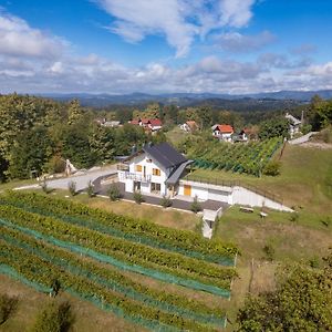 Zidanica Sredi Dolenjskih Gricev - V Gaj Villa Trebnje Exterior photo