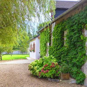 Ferme De Marpalu Bed & Breakfast La Ferté-Saint-Cyr Exterior photo