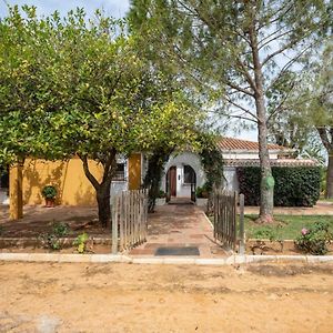 Casa De Campo Con Piscina Junto A Sevilla Mairena De Alcor Exterior photo