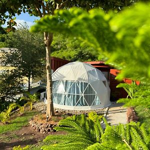 The Secret Garden - Glamping Grenada Hotell Morne Rouge Exterior photo