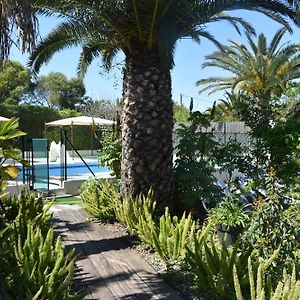 Le Mas de la Palmeraie - Studio dans propriété privée au calme avec piscine et tennis Leilighet Bormes-les-Mimosas Exterior photo