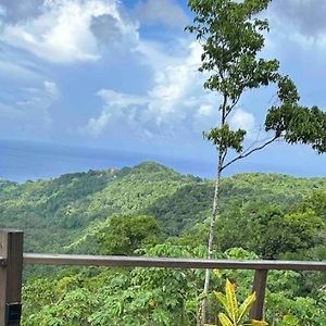 Journey to Paradise , Modern Waterfall Escape Leilighet Port Antonio Exterior photo