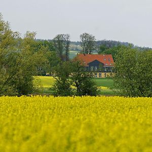 Landhaus Heidekrug Hotell Hildesheim Exterior photo