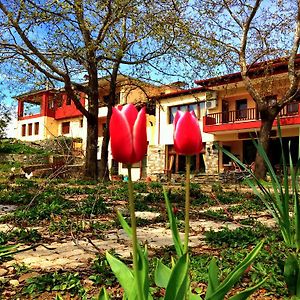 Evridiki Hotell Vergina Exterior photo