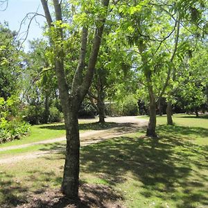 Summerhills Retreat Byron Bay Hotell Binna Burra Exterior photo