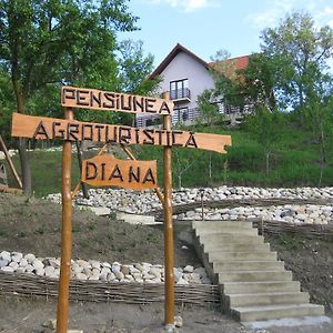 Pensiunea Agroturistica Diana Hotell Măgura Exterior photo