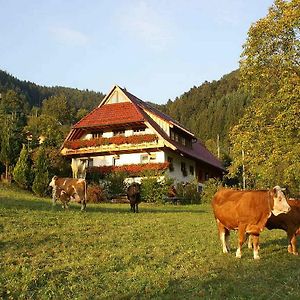 Unterer Gurethshof Leilighet Zell am Harmersbach Exterior photo