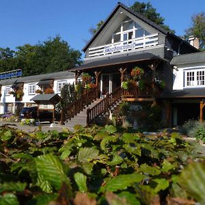 Hotel Restaurant Les Pins Logis Haguenau Exterior photo