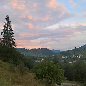 Vila Bucovina Hotell Ciocanesti Exterior photo