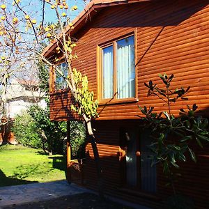 Konak Beyzade Hotel & Bungalow Darıca Exterior photo