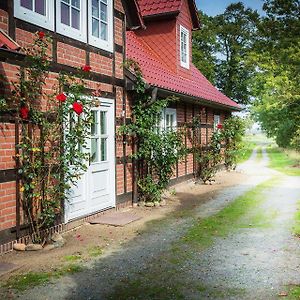 Landhaus Elbeflair Bei Doemitz Hotell Lenzerwische Exterior photo