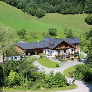 Urlaub Mitten Im Wald - Lueg Leilighet Scheibbs Exterior photo