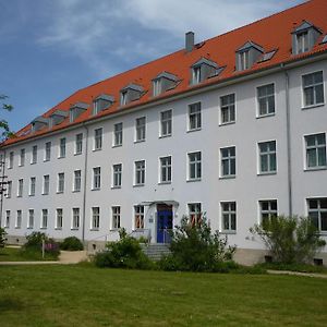 Hanse Haus Pension Hotell Greifswald Exterior photo