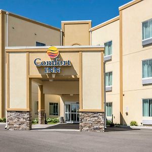 Comfort Inn Apalachin Exterior photo