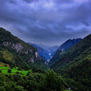 Auberge Toison D'Or Bed & Breakfast Cette-Eygun Exterior photo