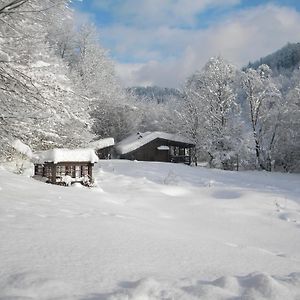 Chalet Kukavica Villa Zjdenjevo Exterior photo