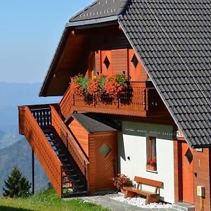 Apartmaji Srnca Leilighet Cerkno Exterior photo