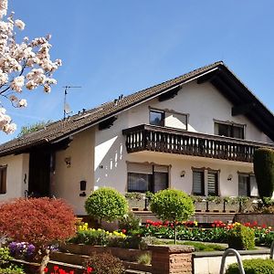 Gaestehaus Braun Leilighet Bad König Exterior photo