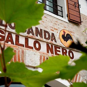 Al Gallo Nero Hotell Borgoricco Exterior photo