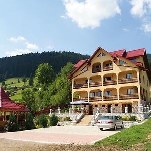 Pensiunea Alunis Hotell Sadova  Exterior photo