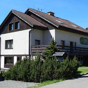 Pension Arnika Hotell Destne v Orlickych horach Exterior photo