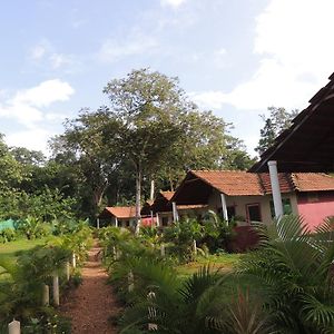 Dandeli - Jungle Nest Leilighet Sangave Exterior photo