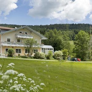 Landgasthof Zum Hirschenstein, Pension Garni Hotell Sankt Englmar Exterior photo