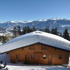 Chalet Brune-Haute Villa Anzère Exterior photo