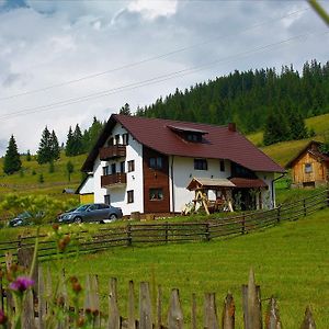 Casa Din Plai - Bucovina Hotell Moldova Sulita Exterior photo