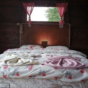 Olimbera Koy Evi Bed & Breakfast Artvin Exterior photo