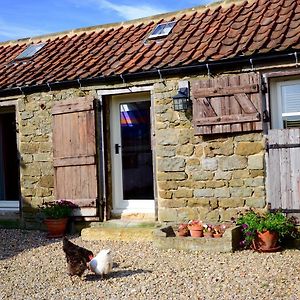 Folly Hall Farm Bed & Breakfast Whitby Exterior photo