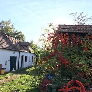 Am Ziegenhof Leilighet Parndorf Exterior photo