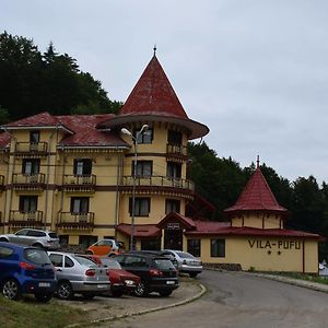 Vila Pufu Hotell Slănic-Moldova Exterior photo