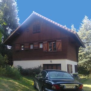 Chalet Les Sequoias Bed & Breakfast Saint-Rémy-sur-Durolle Exterior photo