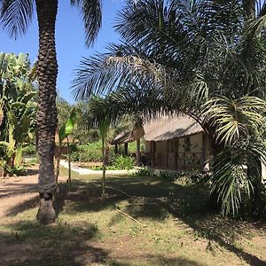 Les Maisons De Marco Senegal - B&B Cap Skirring Exterior photo