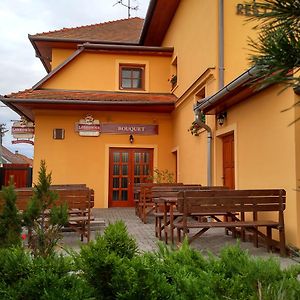 Penzion Bouquet Hotell Horni Vestonice Exterior photo