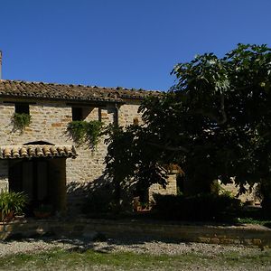 Azienda Agrituristica Colle San Giorgio Castiglione Messer Raimondo Exterior photo