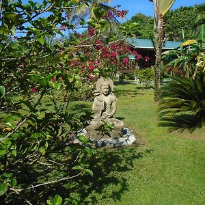 J And H Garden Cabinas Leilighet Bocas del Toro Exterior photo