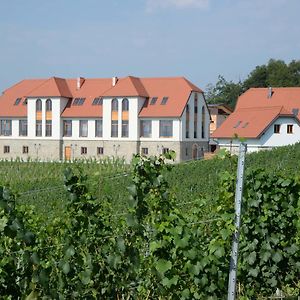 Weingut Taggenbrunn Hotell Sankt Veit an der Glan Exterior photo