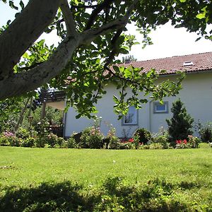 Apartment Spehar Selište Drežničko Exterior photo