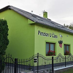 Penzion U Capa Pribor Hotell Exterior photo