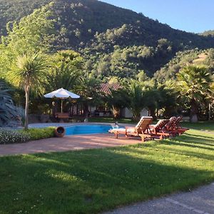 Hotel Boutique Solaz Bella Vista De Colchagua Santa Cruz Exterior photo