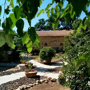 Lemazkeret Bed & Breakfast Mazkeret Batya Exterior photo